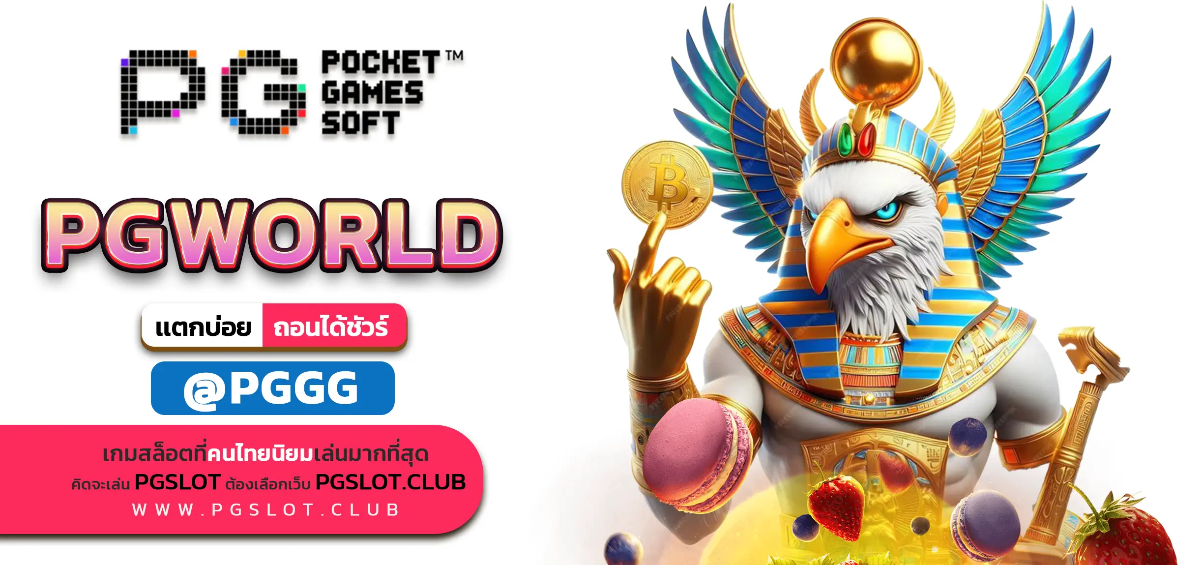 PGWORLD